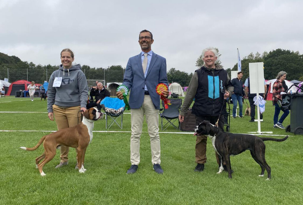 Ixia winning BEST OF BREED in Vejen