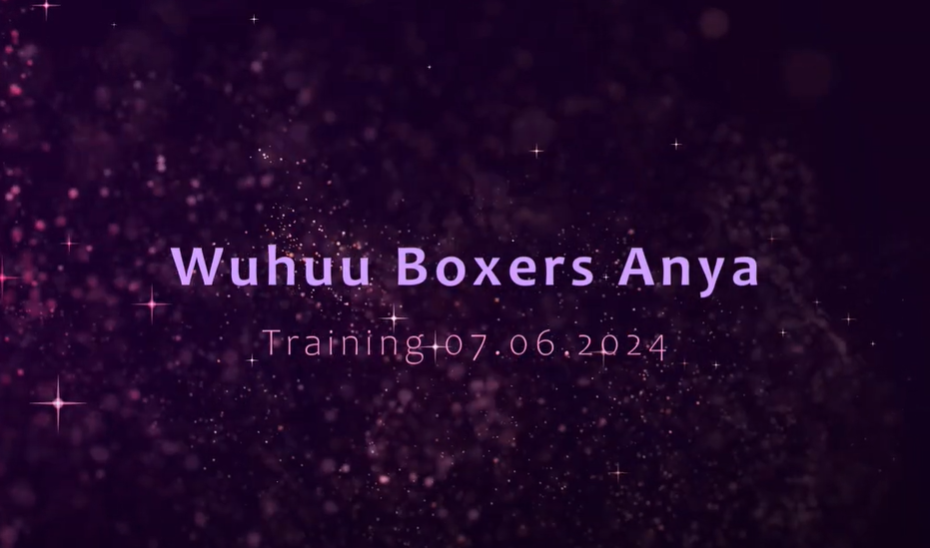 Video of Wuhuu Boxers Anya