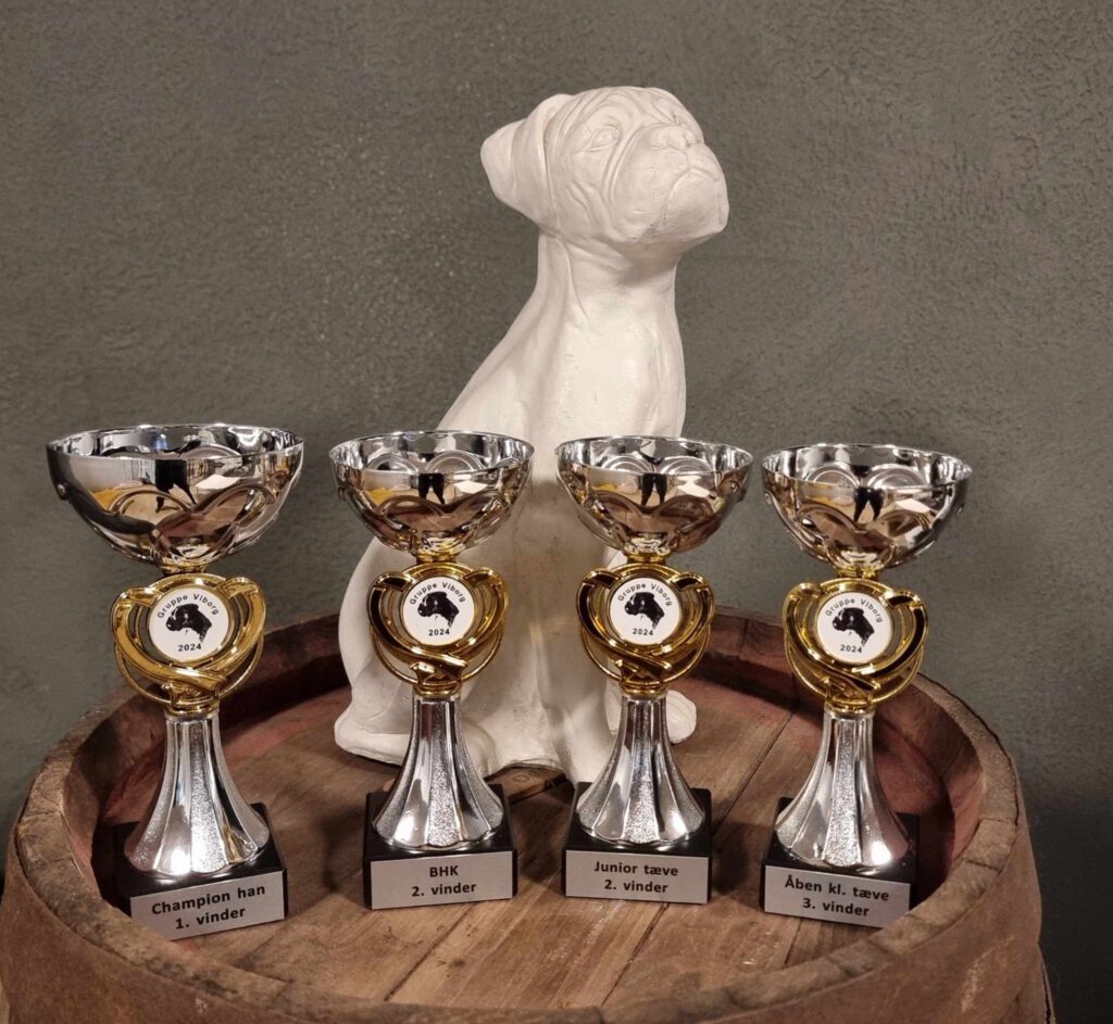 Christmas boxer show 2024