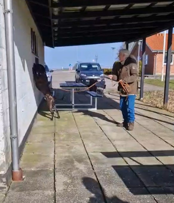 Second NW trial for Illipe