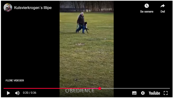 Illipe training 02.03.2025