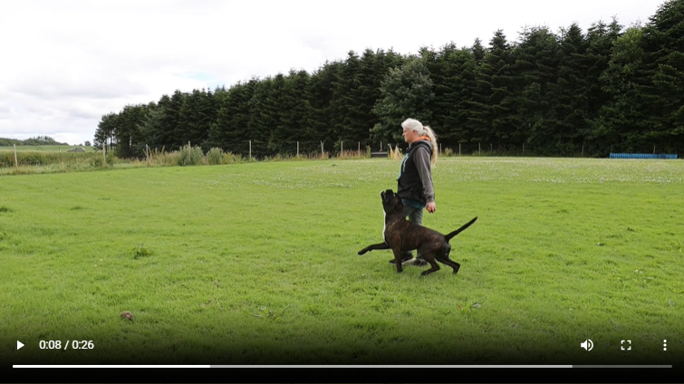 Illipe – training 08-07-2025