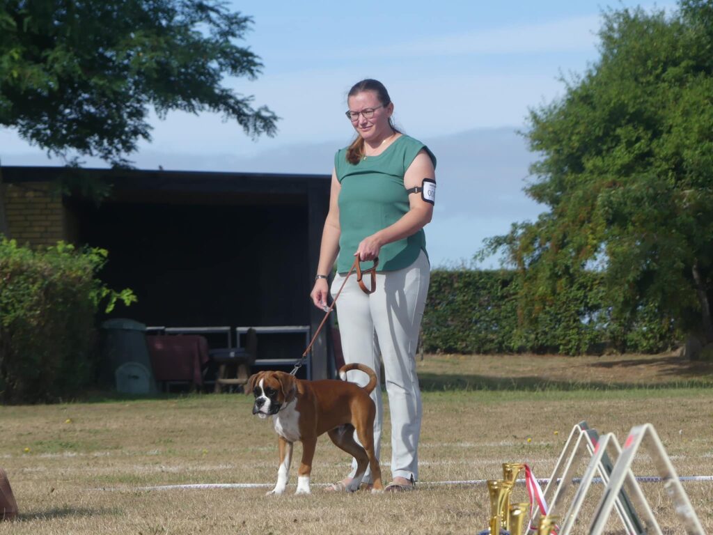 Exhibition debut for Ilex