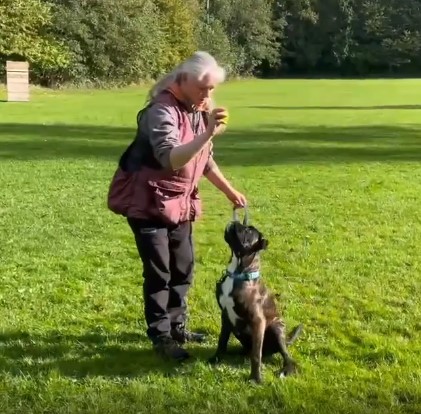 Training videos of Illipe