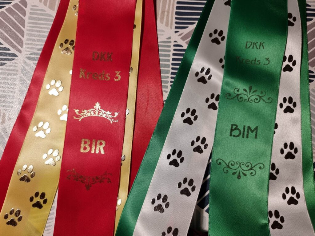 Ixia and Illipe winning BOB and BOS at open show in Årslev, Denmark