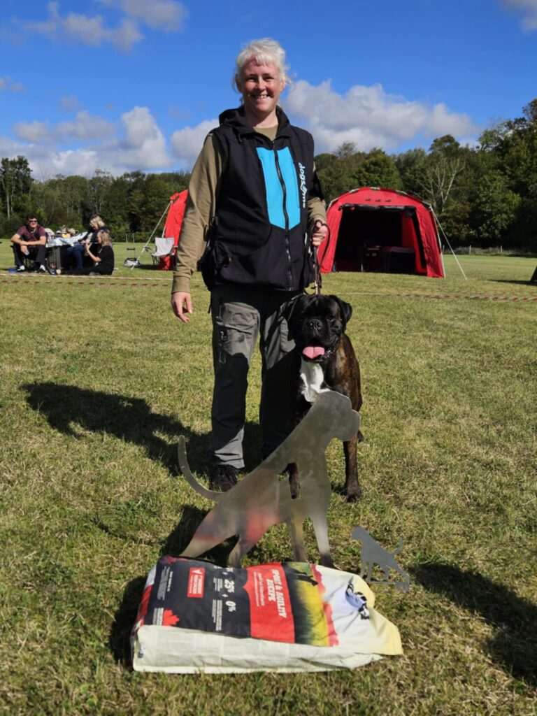 2 x boxer special club shows in boxergroup Ålborg, Denmark